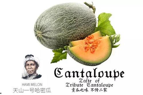 糖人吃蜜瓜,甜蜜邂逅，尽享夏日清凉