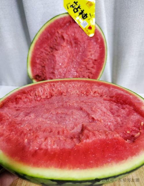 吃瓜发顺丰,顺丰带你领略新鲜资讯