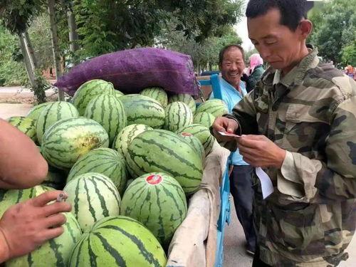 湾湾女神吃瓜,揭秘娱乐圈幕后真相